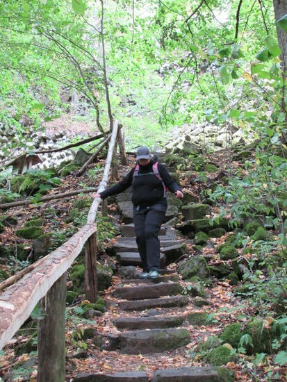 Dann sind es nur noch wenige Minuten und wir sind am Ausgangspunkt zurück. Insgesamt sind wir knapp 6km marschiert. Es war eine lohnenswerte Rundwanderung durch einen abwechslungsreichen Wald und seine persönliche Geschichte und Atmosphäre.