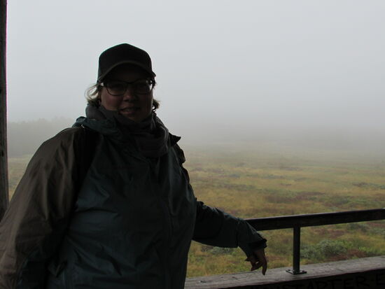 Am Aussichtsturm angekommen blicken wir auf die "Moor Fläche". Es handelt sich aber um eine Fläche die renaturiert wird dh durch Bewässerung soll das einstige Moor Gebiet wieder hergestellt werden.