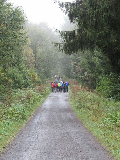 Auf diesem Weg geht es zurück Richtung Parkplatz. Wir sind wenig begeistert von diesem Rundweg. Wir sind deshalb um so mehr erstaunt, wie stark frequentiert er ist.