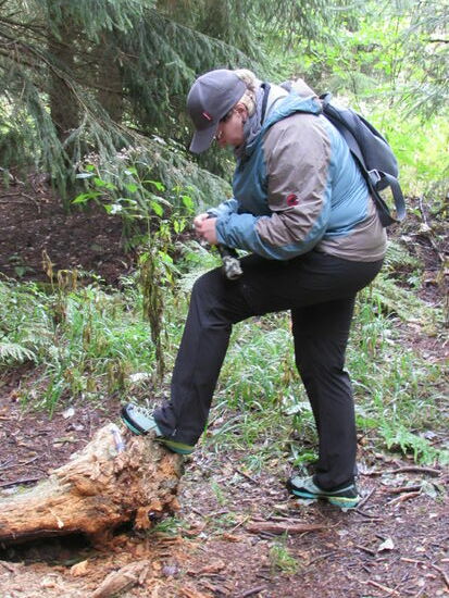 Wenigstens findet Sylvia wieder einige Geocaches 