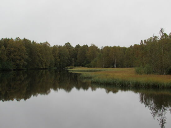 Am Schluß gehen wir noch mal zum Teich, der sich jetzt etwas farbenfroher präsentiert.
