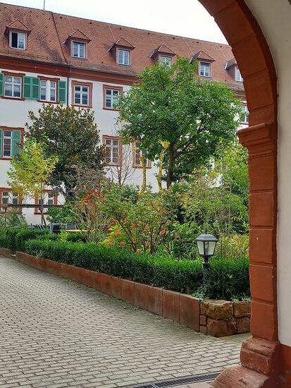 Grüne Oase in einem Hinterhof