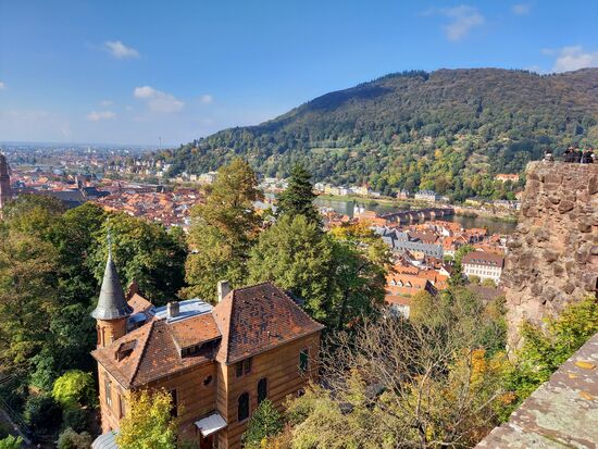 Oben angekommen -  Aussicht von der alten Burg auf die Stadt, den Neckar und die alte Brücke.