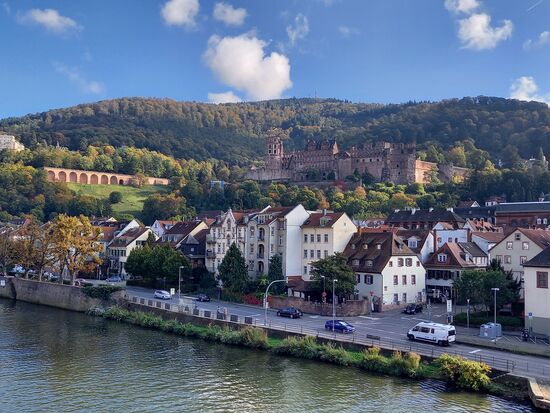 Von der anderen Seite der Neckar blicken wir auf unser Ziel, die  Burg.