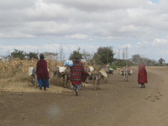 Wassertransport mit dem Esel