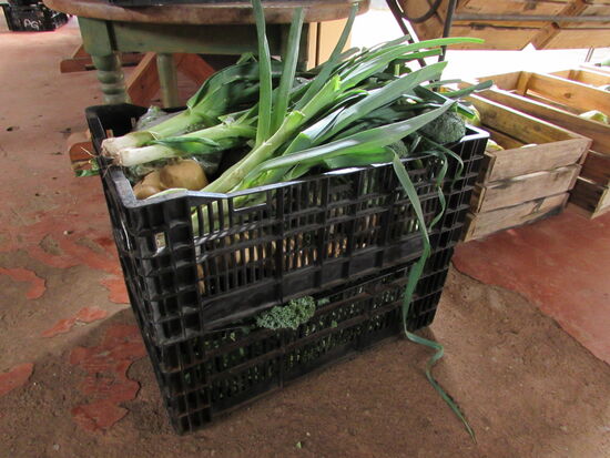 Die Bestellung vom Cradle steht schon zur Abholung bereit.