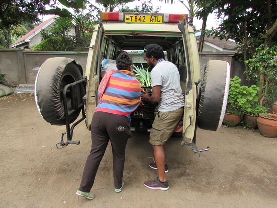 Alles wird fix verladen und schon geht es weiter auf unserer Shopping Tour..