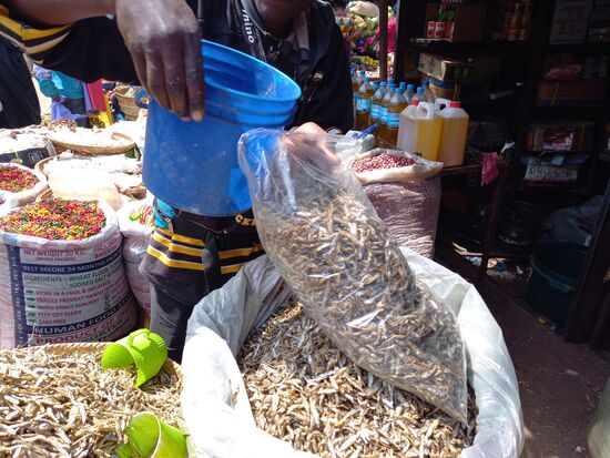 Diese kleinen Fische stammen aus dem Victoria See und werden ebenfalls besorgt.