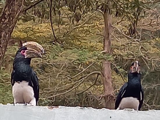 Besuch im Hostel - Guten Morgen  