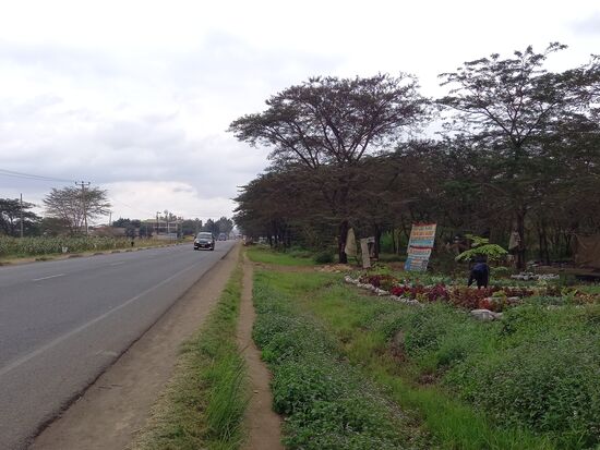 Nach ca. 10 Minuten geht es für die nächste halbe Stunde immer auf diesen Trampelpfad parallel zur Straße entlang. Direkt neben der Straße wird allerhand an Ware angeboten.