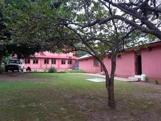 Es ist kurz vor 14 Uhr und die Baby machen sich bemerkbar.