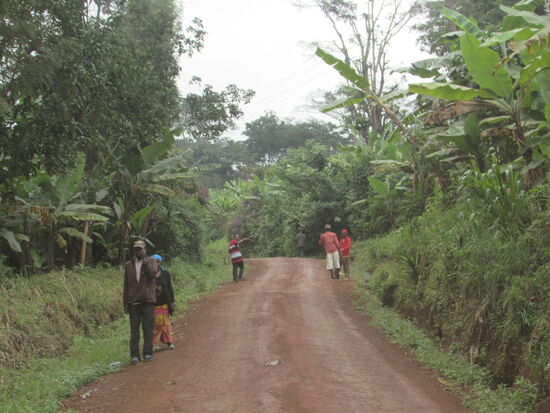 Auf staubiger Piste in den Dschungel