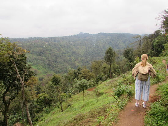 Wir genießen die Natur, dieses schier endlose Grün. In der Ferne hören wir einen Fluss dahin rauschen.