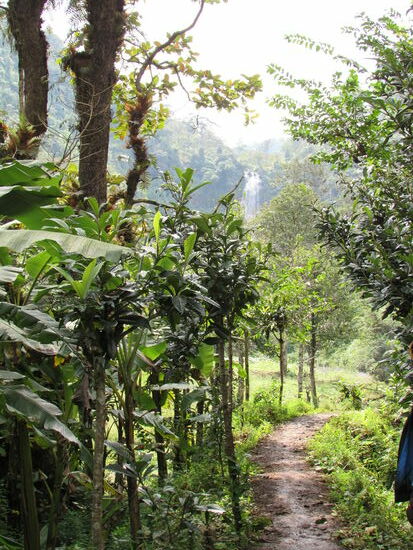 Nach ca. 40 Minuten Fußmarsch sehen wir zum ersten Mal in der Ferne den Wasserfall.