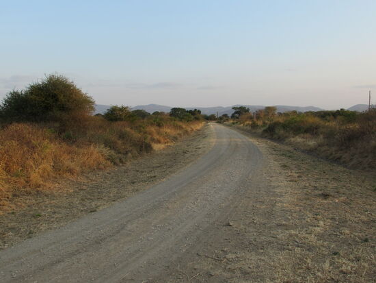 Fahrt durch die trockene Landschaft der Savanne.