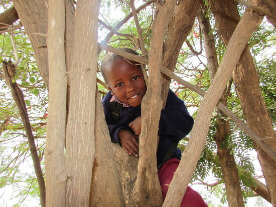 Wer klettert am höchsten?