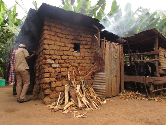 Hinter der Küche ist der Stall für die Kühe und die werden gleich mit geräuchert.