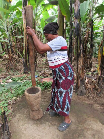 Zum Schluss wird der geröstete Kaffee gemahlen, dann gekocht und probiert - sehr lecker und mild.