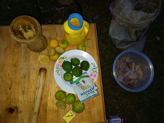 Einige Zutaten für die Hähnchen