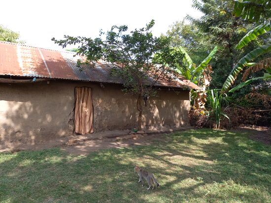 Das Haus der Großmutter