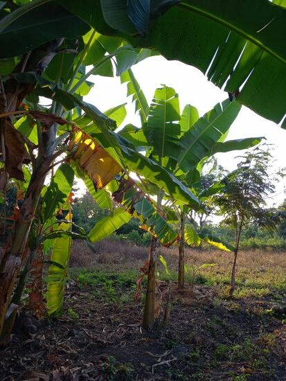 Die Sonne geht langsam unter - Zeit auf Wiedersehen zu sagen.
Asante sana