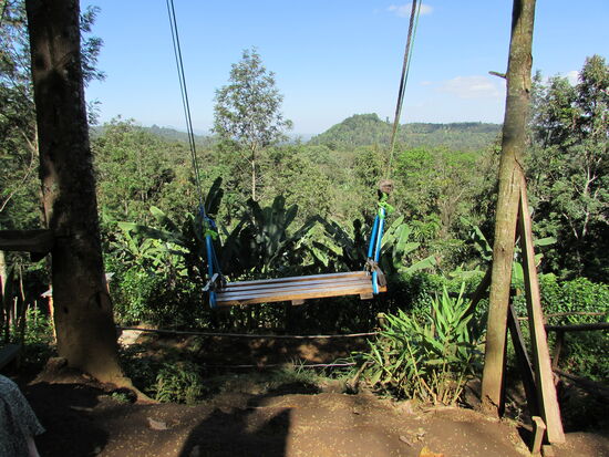 Wer traut sich zuerst?