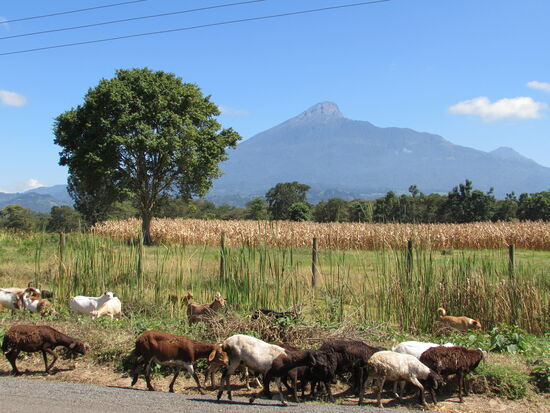Super Sicht auf den Mount Meru.