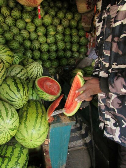 Melonen werden jede Woche besorgt und vor dem Kauf verkostet - lecker 