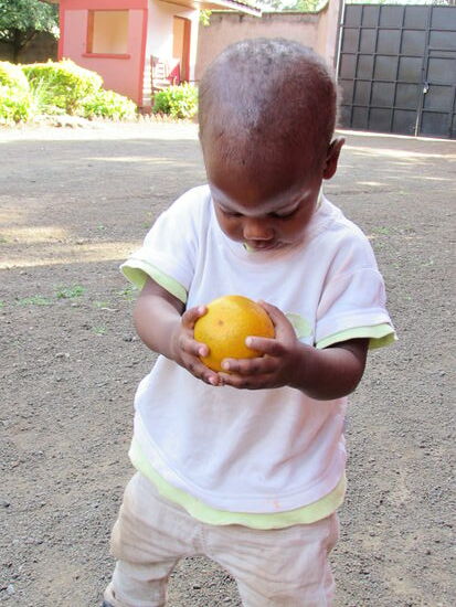 Oh weh, ob die Orangen wohl die Qualitätskontrolle bestehen ...