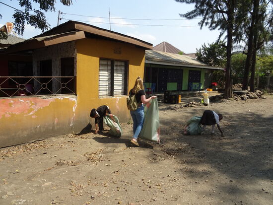 Alle sind fleißig am sammeln.