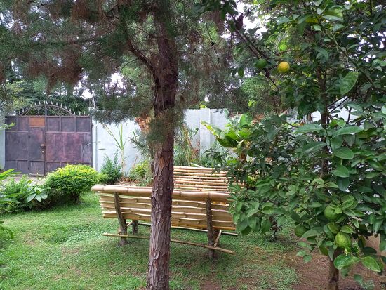 Blick auf das Eingangstor und rechter Hand ein Limetten Bäumchen.