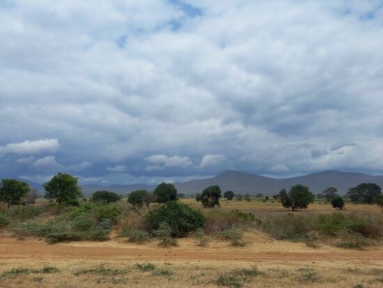 Je mehr wir uns den Usambara Bergen nähern, je grüner wird es.