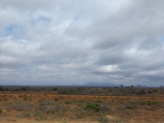 Über lange Zeit schauen wir über das endlos erscheinende Buschland.