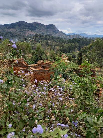 Während wir langsam aufwärts gehen bieten sich schöne Aussichten auf die Bergwelt.