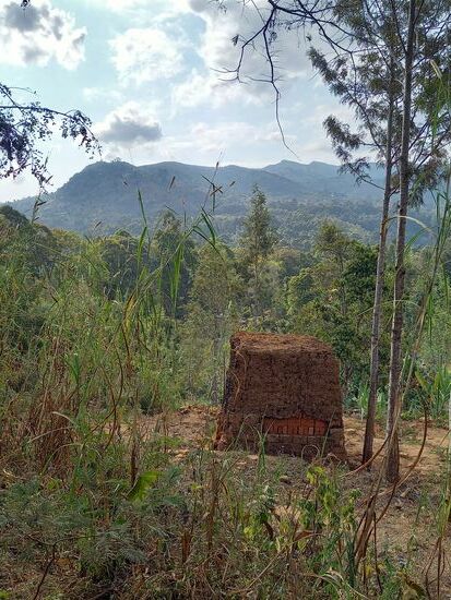 Dann sehen wir wie die Backsteine gebrannt werden.