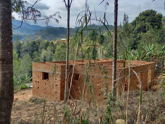 Nebenan werden sie gleich verarbeitet.