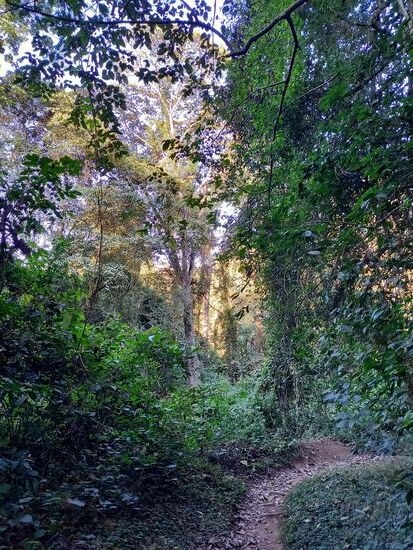 Auf schmalen Pfaden geht es weiter
