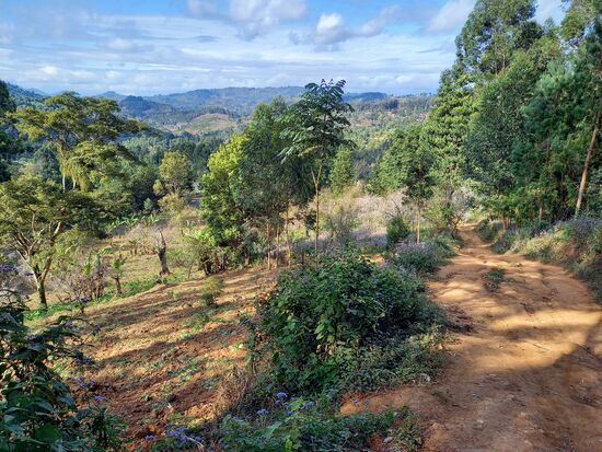 Zwischendurch kann der Blick auch mal in die Ferne schweifen - wunderschön.