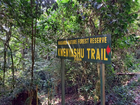 Jetzt geht es wieder steil bergab und dann noch einmal ebenso steil bergauf  - ganz schön anstrengend!