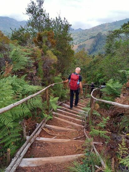 Nach einer kurzen Pause geht es die nächsten 1,5h Stunden mehr oder weniger stetig bergab. Es ist allerdings zum Teil steil und durch das trockene Laub sehr rutschig. Aber unser Guide eilt voraus als gebe es kein Morgen mehr. Wir versuchen dennoch in unserem für uns guten Tempo zu bleiben.  Pole Pole  - immer mit der Ruhe 