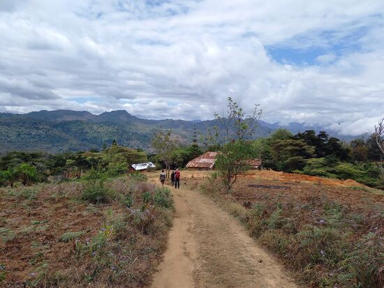In Nähe der ersten Häuser werden die Wege schließlich breiter und wir haben den dichten Wald wieder verlassen.