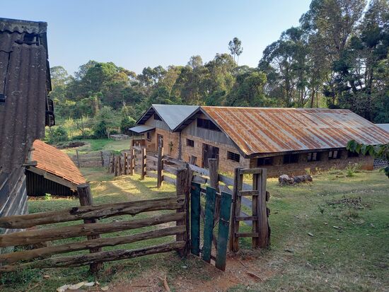 Wenig später liegt die Irente Farm lvor uns. Das dazugehörige Restaurant liegt etwas oberhalb.  Dort genießen wir auf einer schönen Terrasse Brot und Käse ehe wir zum Magorota Forest aufbrechen.