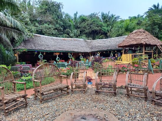 Schließlich kommen wir am Hotel inmitten der vielen Palmen an.