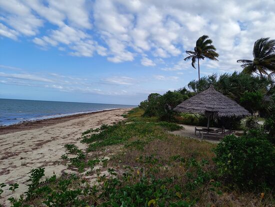 Erster Spaziergang am Strand und schon mal die Füße in den indischen Ozean stecken    - angenehm warm  