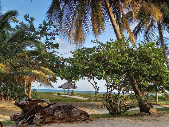 Da entsteht bei mir ein wenig Südsee feeling