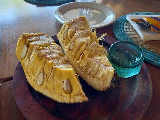 Wir kosten die leckere Jackfrucht.