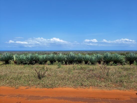 Auf dem Weg zur nächsten Unterkunft...