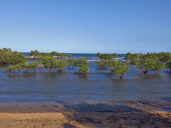 Wir freuen uns auf morgen,  dann werden wir uns das bei Ebbe anschauen.