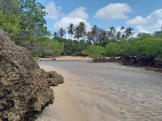 Korallen,  Mangroven, Strand, Meer und Palmen - ein kleines Paradies!