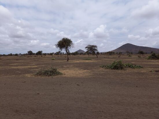 Alles ist total dürr